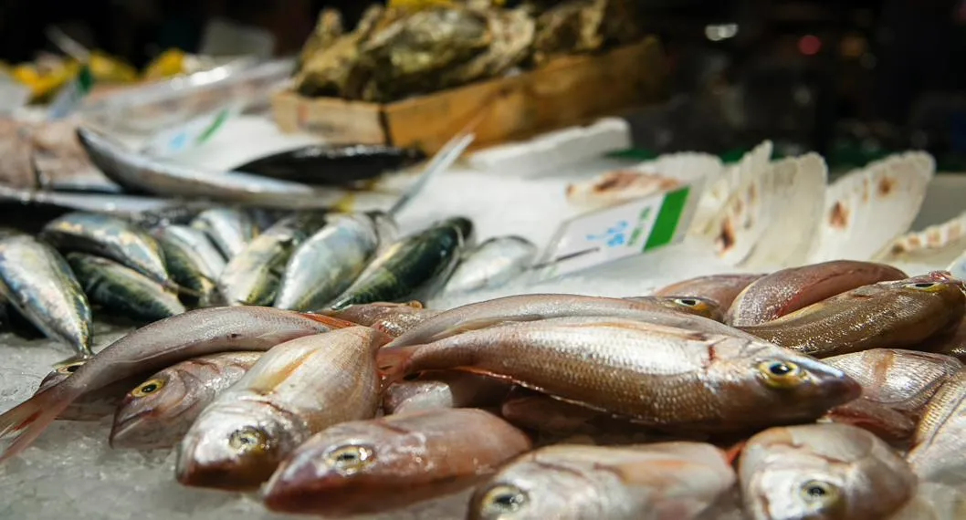 Foto de pescados en un supermercado, a propósito del artículo sobre cómo identificar el pescado en mal estado y los peligros de este.