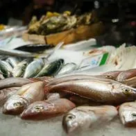 Foto de pescados en un supermercado, a propósito del artículo sobre cómo identificar el pescado en mal estado y los peligros de este.