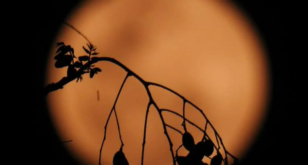 Foto de Luna llena rosa, a propósito de cómo impactará a algunos signos del zodiaco.