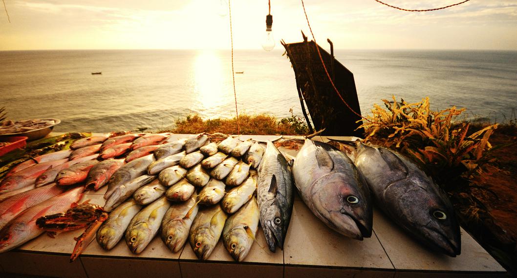 Foto ilustrativa de venta de pescado, a propósito de su alto costo