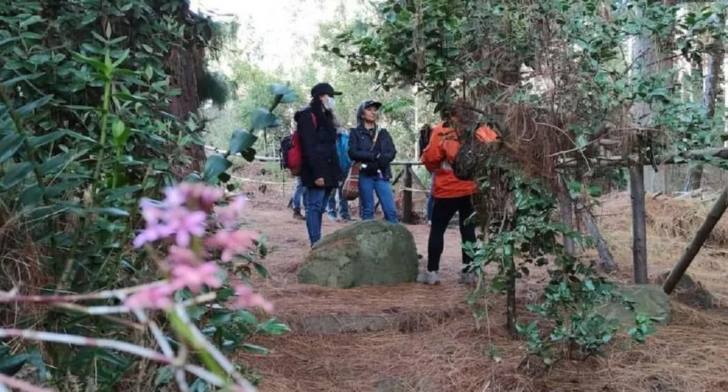 Foto de sendero natural en Bogotá, a propósito de su operación en Semana Santa 2023