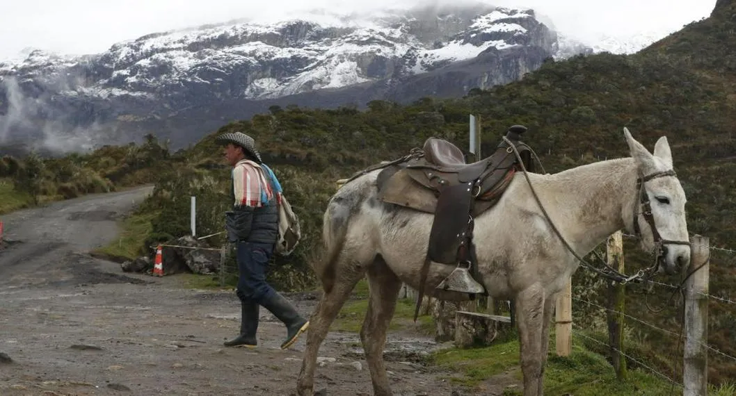Los campesinos que viven en la falda del volcán Nevado del Ruiz se niegan a evacuar, pese a la posibilidad de una erupción. Estas son sus razones.