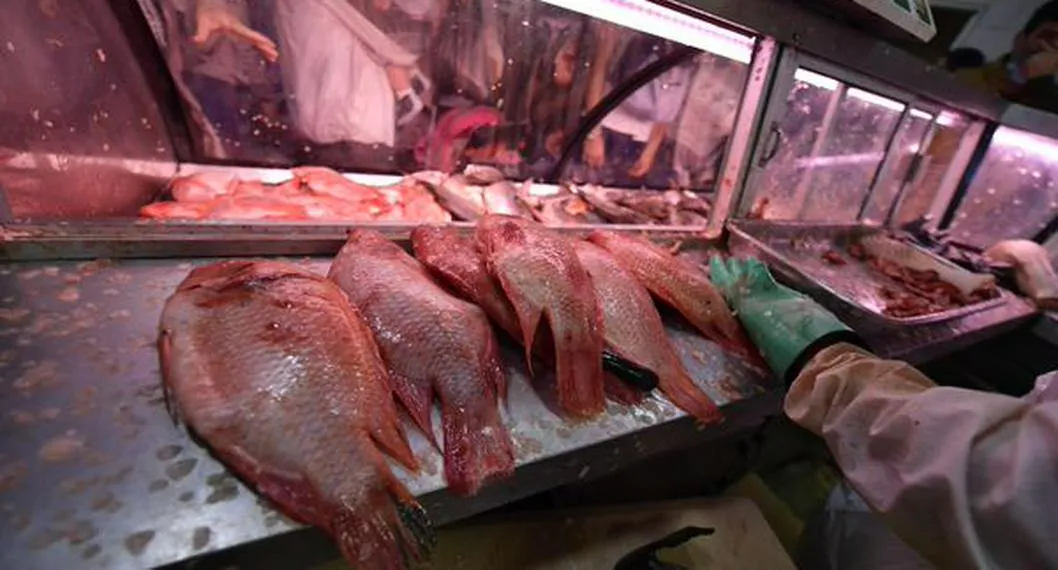 Consejos para comer pescado en Semana Santa y evitar una intoxicación 