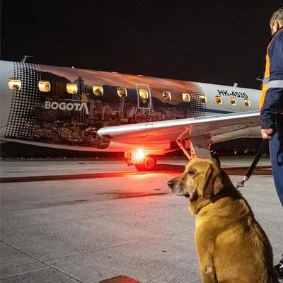 Avión de Satena, ahora que la aerolínea anunció que estarían en planes de abrir destinos fuera de Colombia.