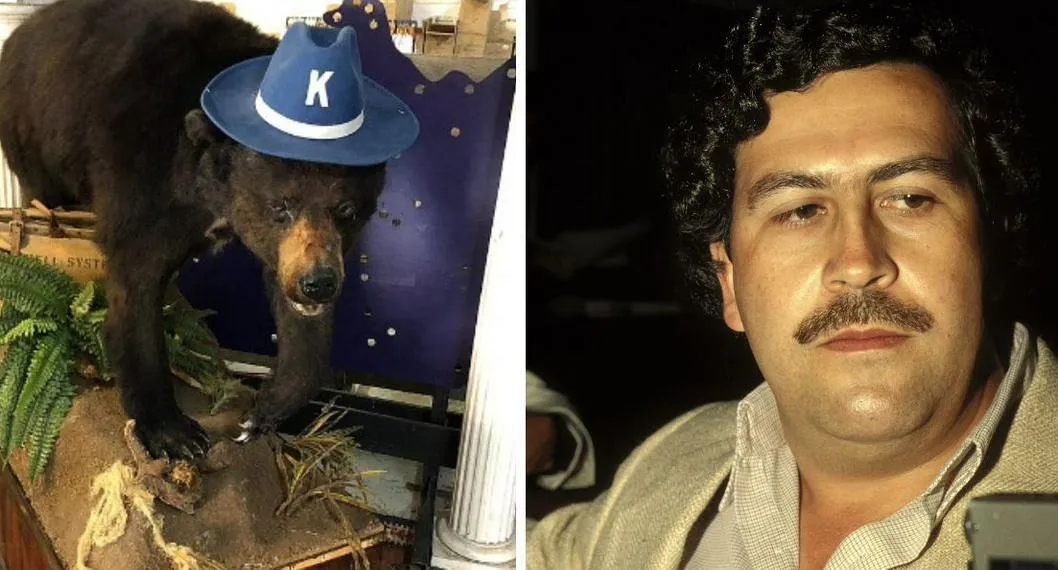 Foto de Pablo Escobar y de un oso, a propósito del artículo sobre el oso que es la otra víctima del narcotraficante.