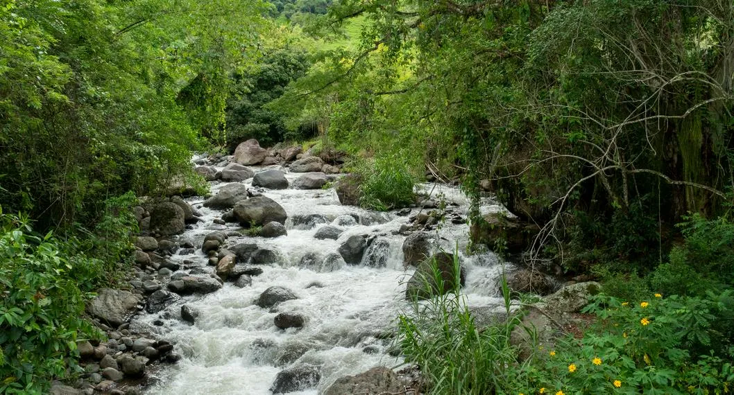 Se intensifica búsqueda de Ana Sofía, de 14 años, quien cayó a río La Yuca, en Tolima. Así avanza la búsqueda de las autoridades.