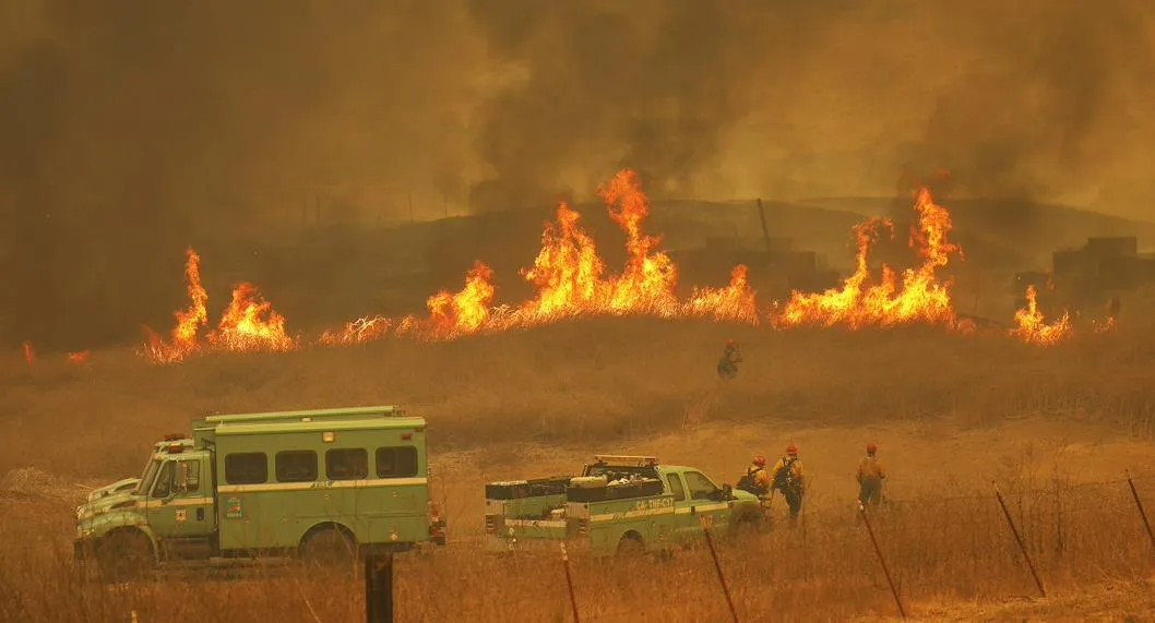 En Estados Unidos se registró un fuerte incendió que ocasionó la mayor perdida ganadera la historia; cuántas víctimas y los detalles de la historia.  Refugio Road on Tuesday, Oct. 12, 2021 in Gaviota Coast, CA. (Al Seib / Los Angeles Times via Getty Images).