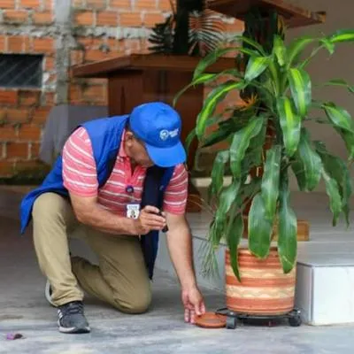 Gobierno anuncia que Ibagué está ante posible brote endémico por dengue