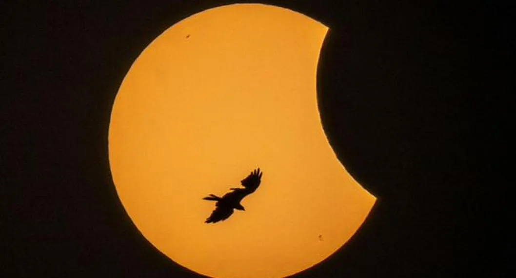 Foto de Eclipse Solar, a propósito de los signos que sentirán el primero de 2023