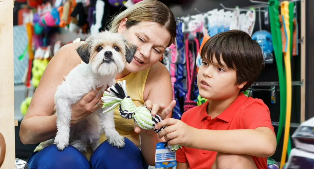 ¿Cómo es emprender en el mundo de las mascotas?