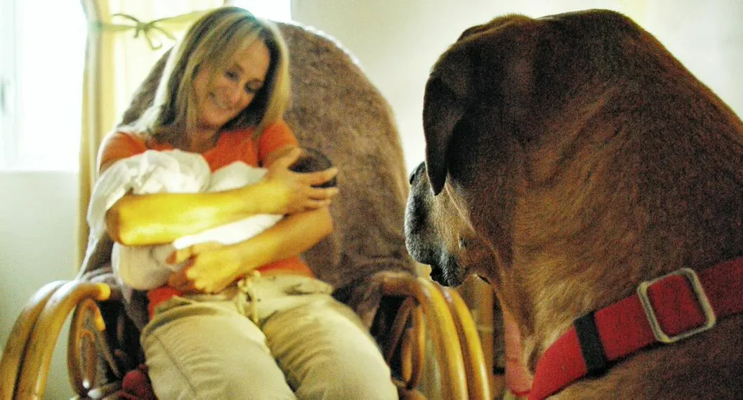 Foto de una mujer sosteniendo un bebé y un perro mirandola, para ilustrar artículo sobre las razones por las que un perro puede resultar celoso.