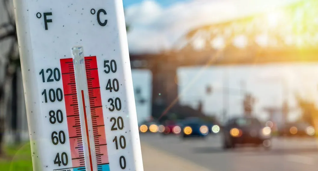 La Organización Meteorológica Mundial (OMM) confirmó que el año 2022 fue uno de los más calurosos en toda la historia, desde que hay registros.