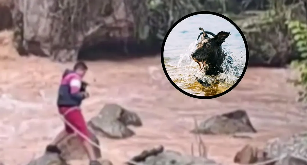 Bombero se amarró a una cuerda para salvar a perro que estaba en río de Tolima