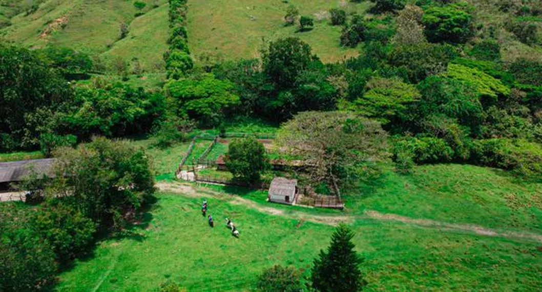 Familias campesinas se quedarán con la finca incautada a exnarco 'Don Diego' 