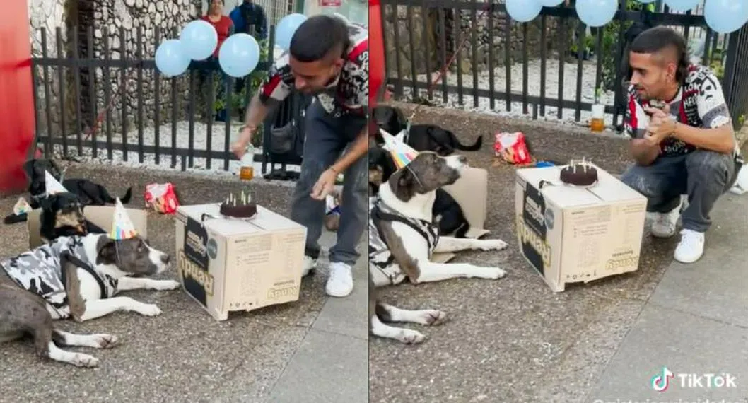 La historia del habitante de calle que rescata perros y les celebra cumpleaños