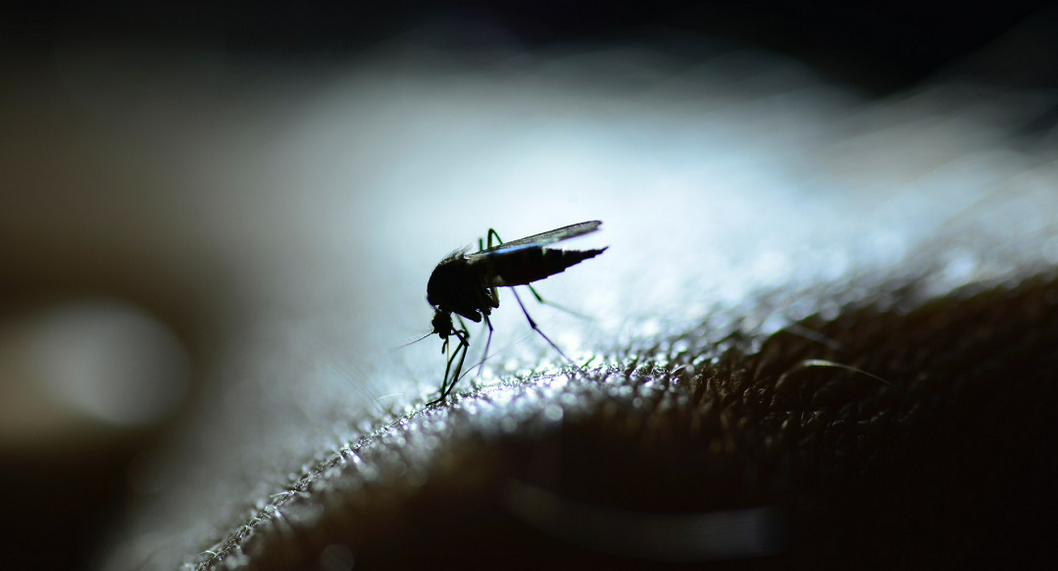 Casos de dengue en Ibagué aumentaron y hay más de 400 enfermos