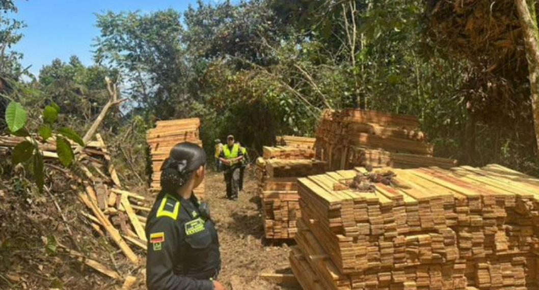 Cali: policía descubrió tala ilegal y daño ambiental en una reserva natural