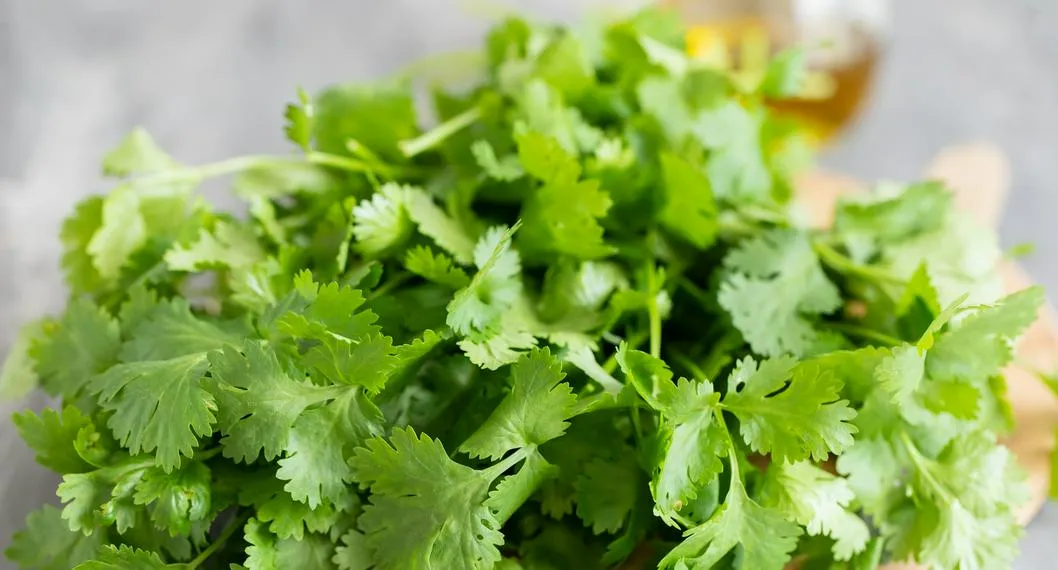Asesinan a hombre por robarle ramas de cilantro que vendía, en Bucaramanga