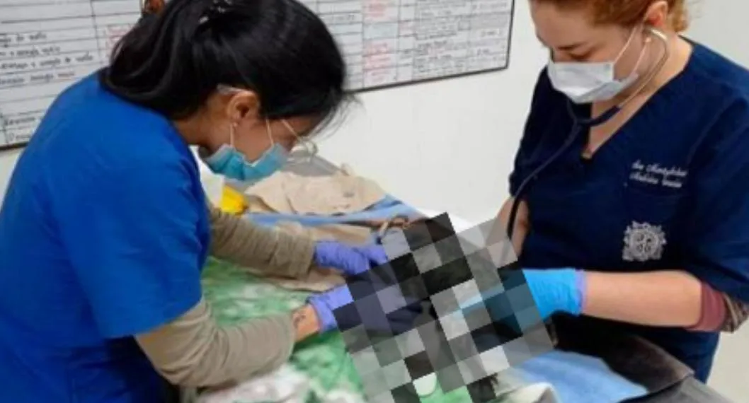 Médicos veterinarios ayudando a Zarigüeya que fue atacada con químico.