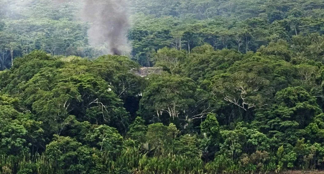 Fogata:  A niños perdidos en la selva militares les piden hacer humo para encontrarlos