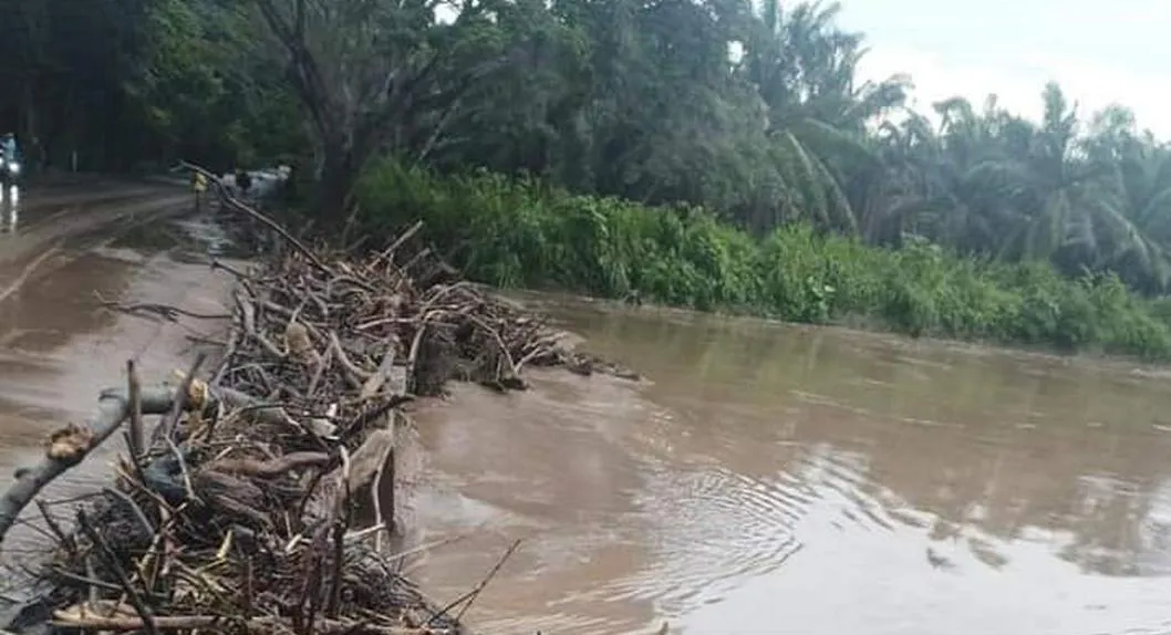 Advierten inundaciones por lluvias en Chiriguaná, Cesar; agua ha arrastrado árboles