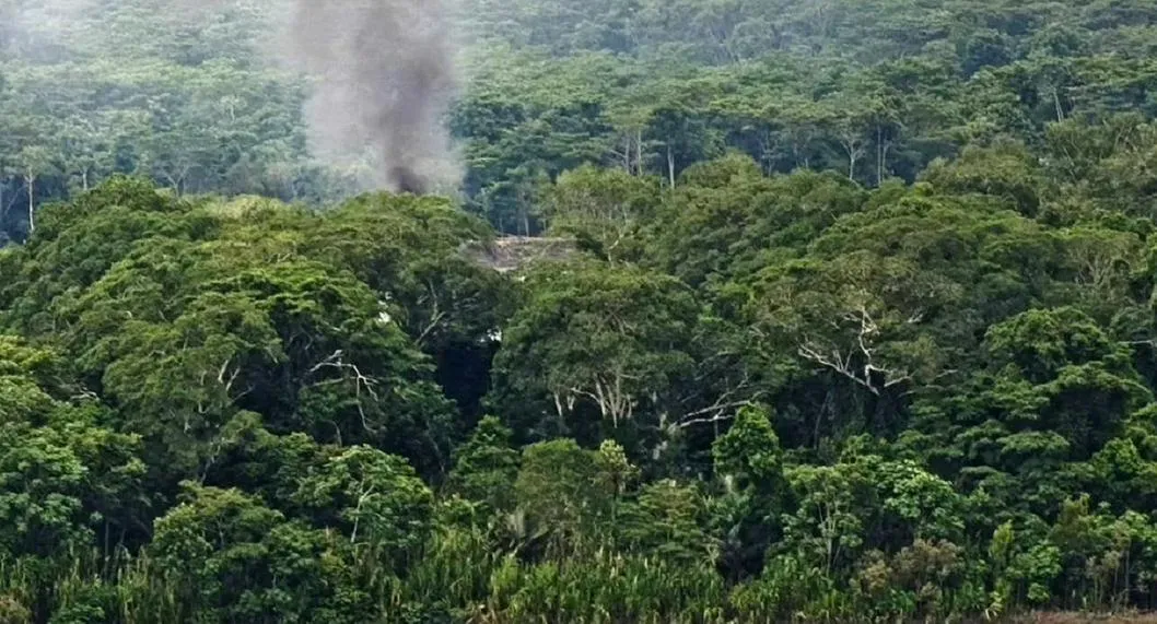 Hicieron ritual indígena para buscar a niños perdidos en selva del Guaviare