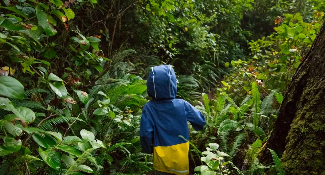 Imagen ilustrativa de un niño perdido en la selva, como los que están en Guaviare tras accidente aéreo.