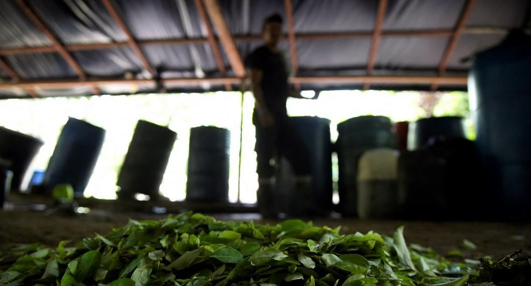 Caída de negocio de cocaína tiene en crisis a campesinos en Colombia