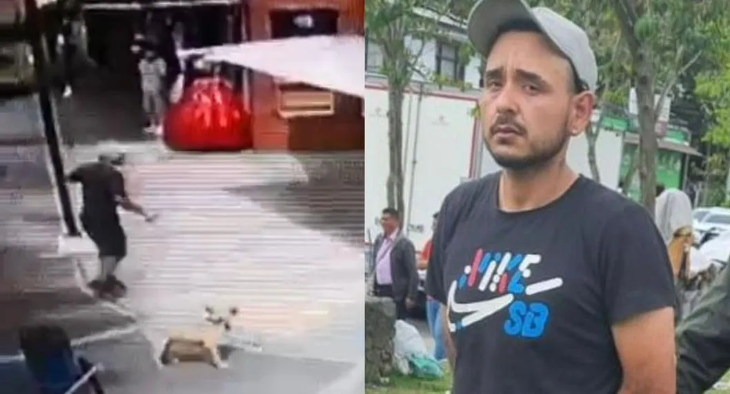 Hombre agredió a perro que defendió a vigilante en Popayán.