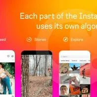 Instagram reveló cómo funciona el algoritmo de la plataforma
