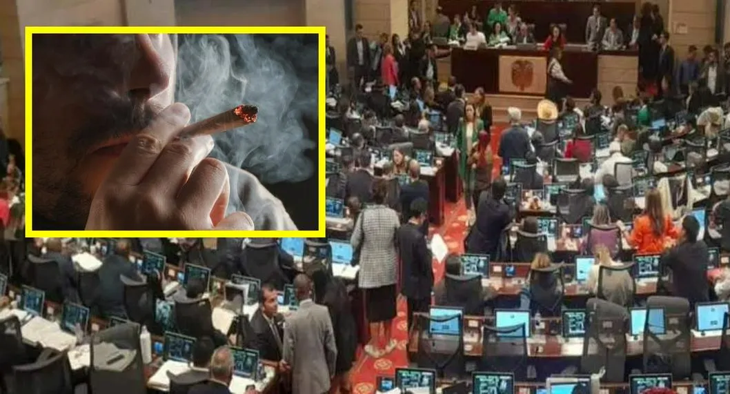 Senador dejó 'pisquero' y expuso a quienes votaron sí por legalización de la marihuana