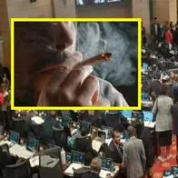 Senador dejó 'pisquero' y expuso a quienes votaron sí por legalización de la marihuana