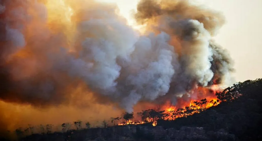Incendios amazónicos afectan más a la población indígena.