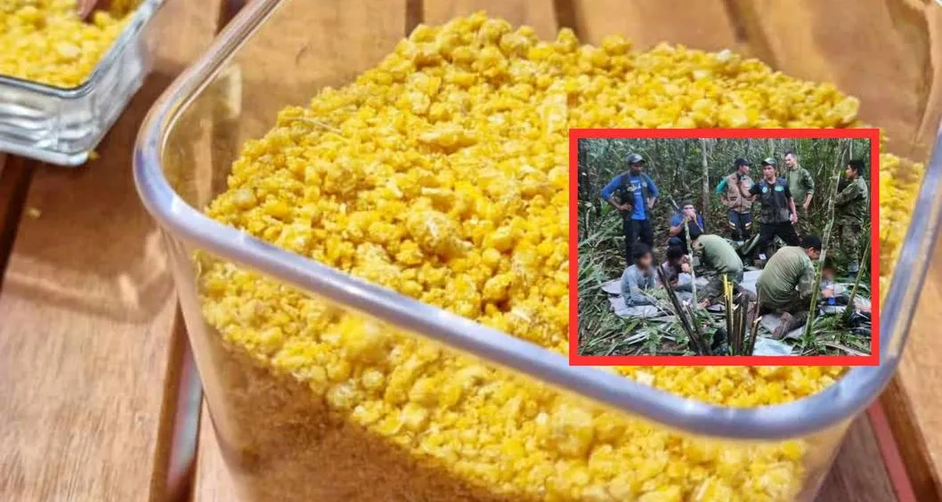 Qué es la fariña y para qué sirve: el alimento con el que sobrevivieron 4 niños hallados en la selva de Guaviare por 40 días