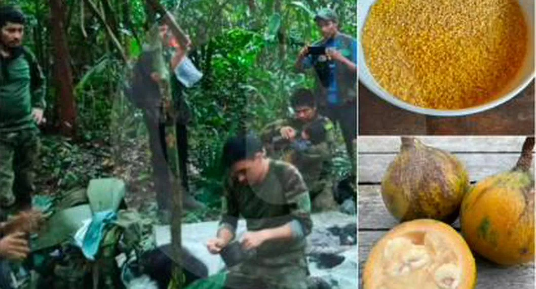 Revelaron de qué se alimentaron los niños mientras estuvieron perdidos en la selva del Guaviare.