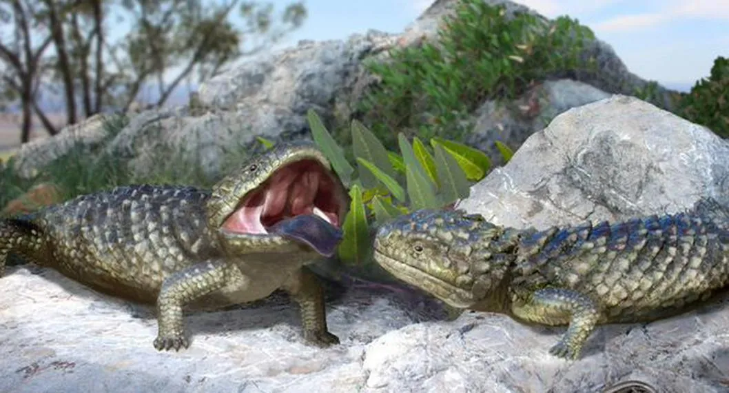 Ilustración de cómo se vería vivo un tipo de lagarto que vivió hace 50.000 años.