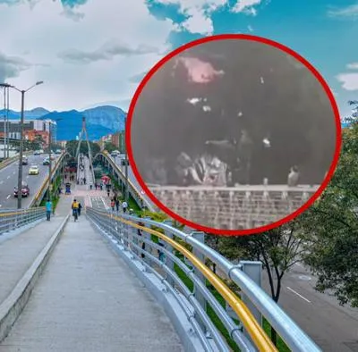 Jóvenes en Bogotá fueron captados arriesgando sus vidas al cruzar un puente por el borde en la Autopista Norte.