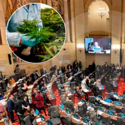 Este lunes festivos se trabó el proyecto que busca regular el consumo de cannabis recreativo en el Senado. Hoy tendrá su última oportunidad.