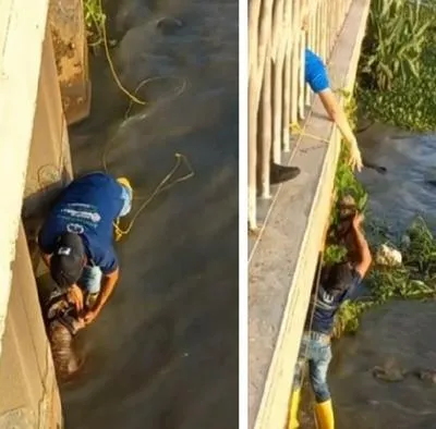 Perro fue rescatado luego de caer al río Magdalena, por el sector del Malecón del río.