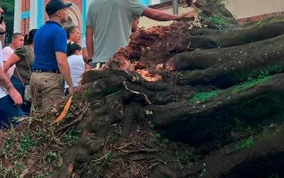 Árbol caído. En relación con turista de 60 años en Meta.