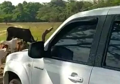 Camioneta robada. En relación con el caso de hurto a tío de alcalde en Cesar.