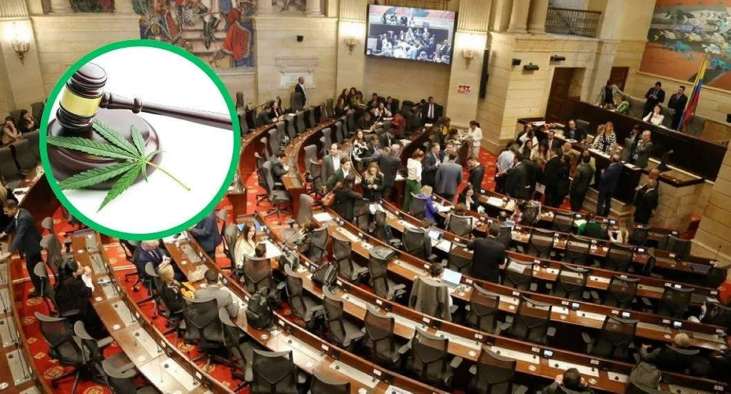 En el Senado de la República se hundió en último debate para aprobar la regulación del Cannabis en Colombia