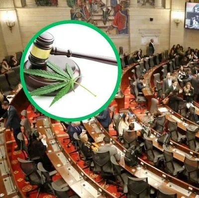En el Senado de la República se hundió en último debate para aprobar la regulación del Cannabis en Colombia