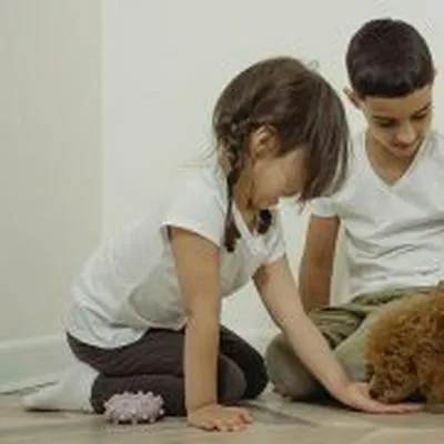 ¿Cuáles son las razas de perros más amigables con los niños?