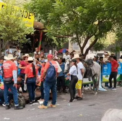 Caballo se infartó en cabalgata en Espinal (Tolima) y de milagro no murió