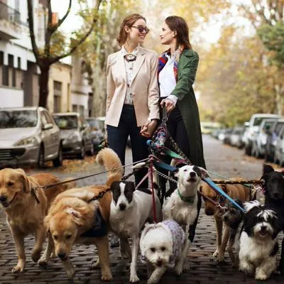 Foto de cuidadores de perros a propósito de empleo por el que pagan sueldazo por pasear mascotas