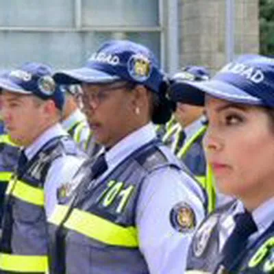 En Cali, se conoció que más de 100 agentes de tránsito no renovaron licencia de conducción y les extendieron el plazo para que lo hicieran.