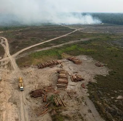 Por deforestación, la Tierra perdió 1.000 M2 de selva cada 5 segundos