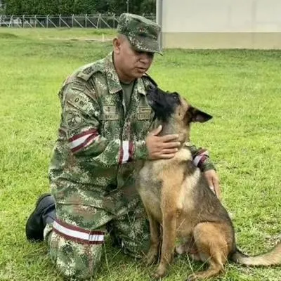 Perro Wilson fue pintado en cuadro por artista colombiano y conmovió a Ejército Nacional.