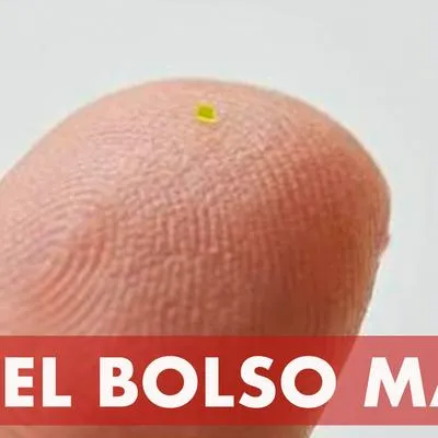 Hace algunas horas se viralizó la subasta del bolso más pequeño del mundo y que fue vendido en más de 60.000 dóalres. Acá, los detalles.